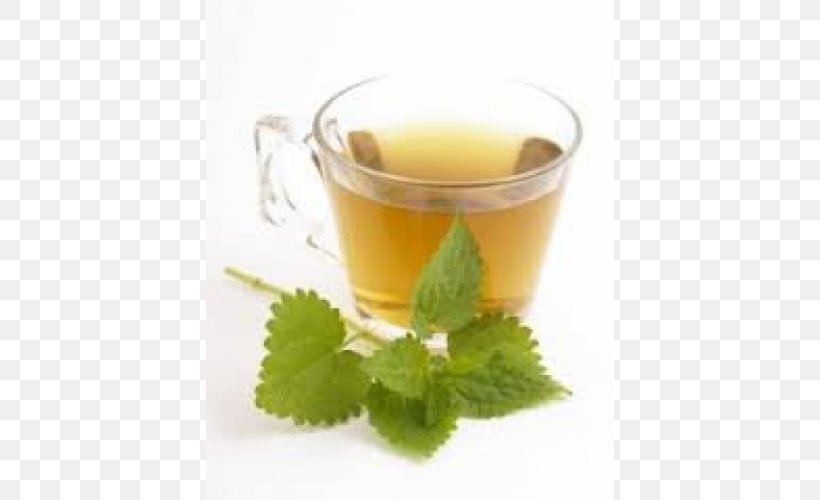 Green Tea Common Nettle Food Herbal Tea, PNG, 500x500px, Tea, Allergy, Catechin, Common Nettle, Cup Download Free