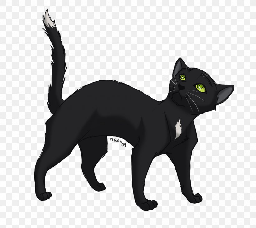 Into The Wild Cat Warriors Ravenpaw Firestar, PNG, 1000x892px, Into The Wild, Black, Black Cat, Bombay, Carnivoran Download Free