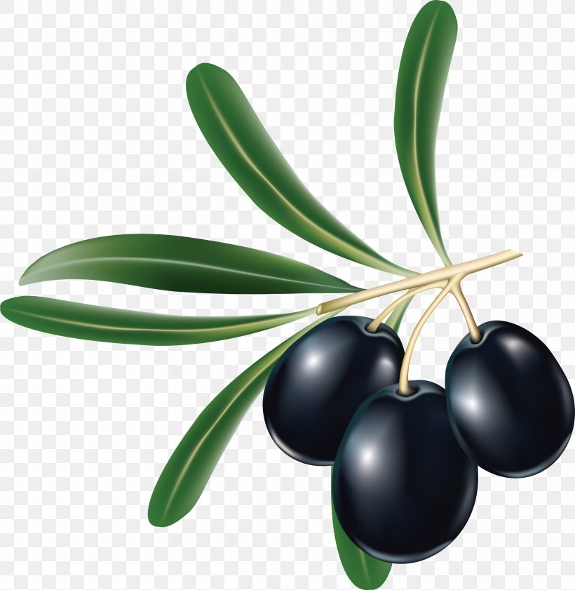 Tapenade Kalamata Olive Greek Cuisine Black Olive, PNG, 3417x3505px, Kalamata Olive, Berry, Food, Fruit, Greek Cuisine Download Free