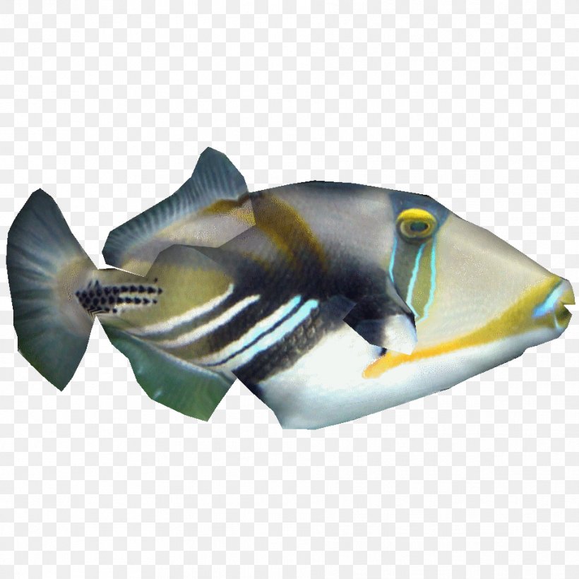 Lagoon Triggerfish Lion Species Library, PNG, 954x954px, Lagoon Triggerfish, Carnivore, Fin, Fish, Fish Products Download Free