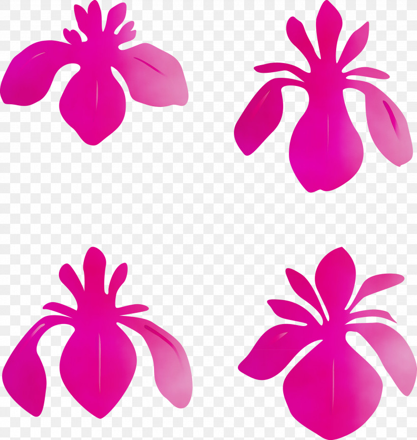 Pink Petal Magenta Purple Plant, PNG, 2842x3000px, Iris Flower, Flower, Herbaceous Plant, Magenta, Paint Download Free