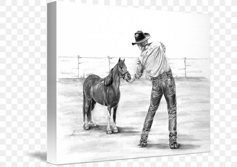 Stallion Bridle Mustang Rein Horse Harnesses, PNG, 650x578px, Stallion, Black And White, Bridle, Cowboy, Drawing Download Free
