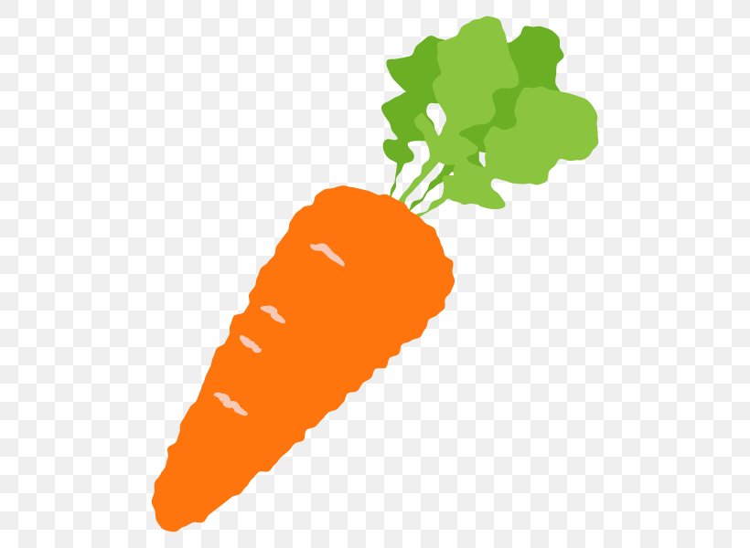 Carrot Illustration Vegetable Clip Art Plants, PNG, 600x600px, Carrot, Flower, Food, Orange, Organism Download Free