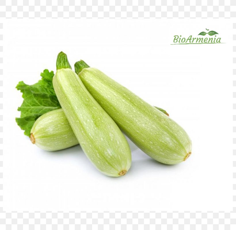 Cucurbita Pepo Summer Squash Zucchini Vegetable, PNG, 800x800px, Cucurbita Pepo, Bell Pepper, Cucumber, Cucumber Gourd And Melon Family, Cucumis Download Free