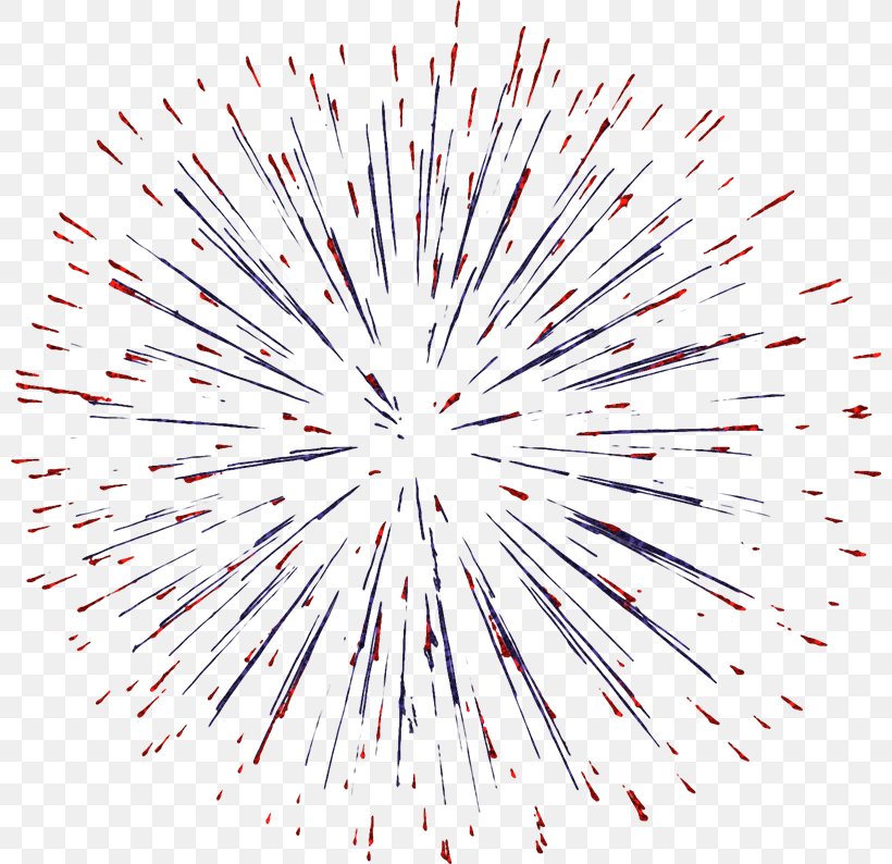 Fireworks Clip Art, PNG, 800x794px, Fireworks, Apng, Photography, Sky, Skyrocket Download Free