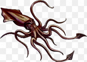 Octopus Octopus-m Kft Biology Science PNG