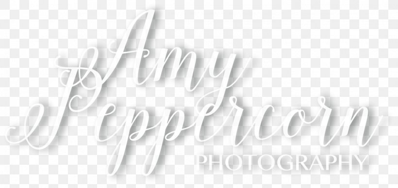 Wedding Photography Black And White Photographer, PNG, 1500x710px, Photography, Art Museum, Artwork, Black And White, Com Download Free