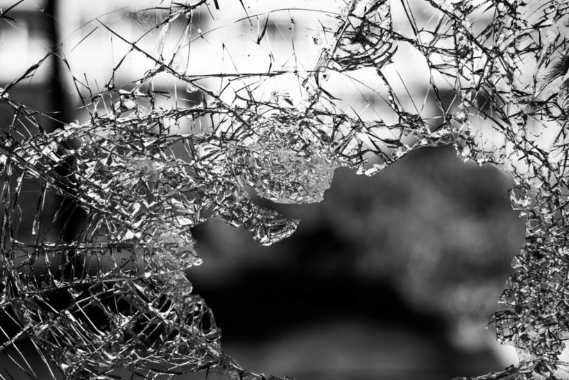 Window Safety Glass Polycarbonate, PNG, 1538x1028px, Window, Black, Black And White, Branch, Car Download Free