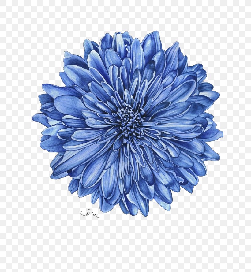 Blue Flower Petal Plant Dahlia, PNG, 640x889px, Pop Art, Aster, Blue, Dahlia, Daisy Family Download Free