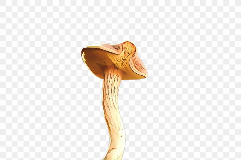 Joint Mushroom, PNG, 2448x1632px, Joint, Mushroom Download Free