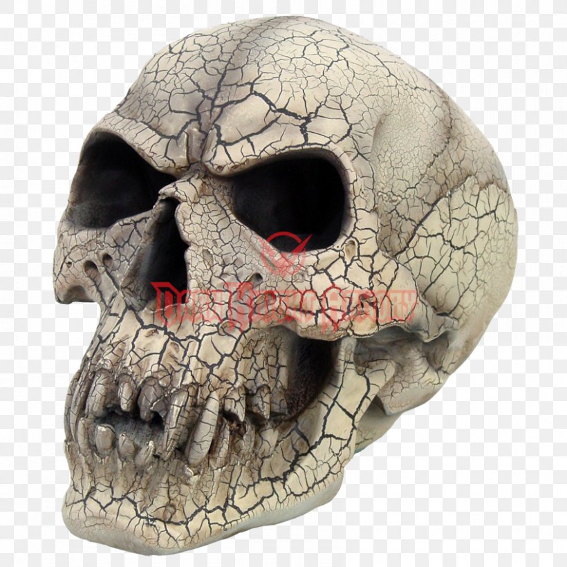 Vampire Skull Fang Human Skeleton, PNG, 850x850px, Vampire, Art, Bone, Fang, Figurine Download Free