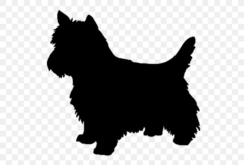 West Highland White Terrier Yorkshire Terrier Airedale Terrier Cairn Terrier, PNG, 600x556px, West Highland White Terrier, Affenpinscher, Airedale Terrier, Black, Black And White Download Free