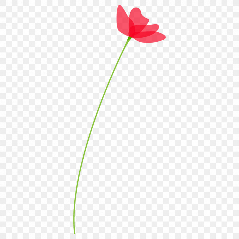 Poppy Flower, PNG, 1200x1200px, Poppy Flower, Flower, Pedicel, Petal, Pink Download Free