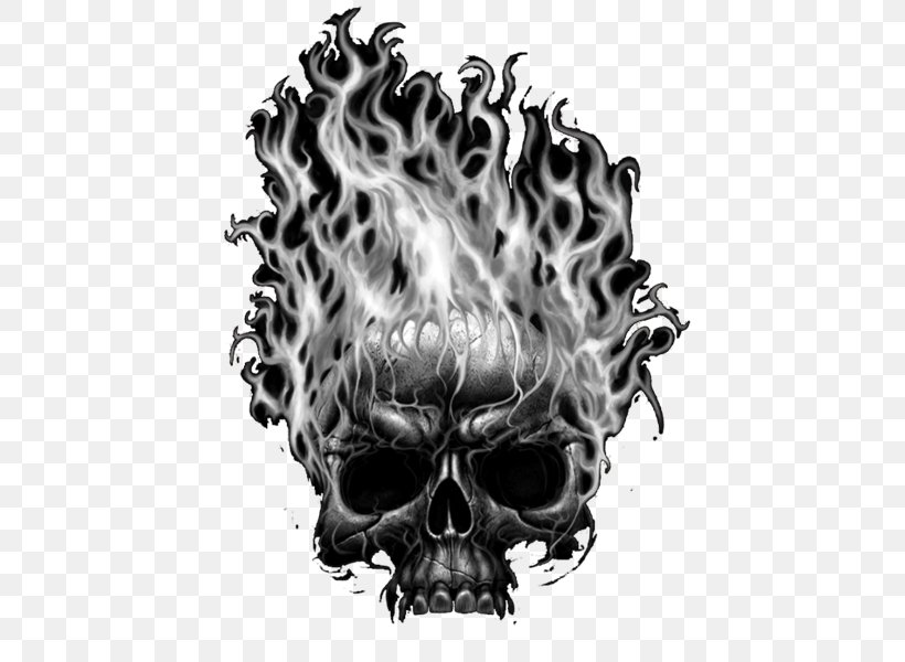 Skull Desktop Wallpaper Image Drawing Death, PNG, 800x600px, Skull ...