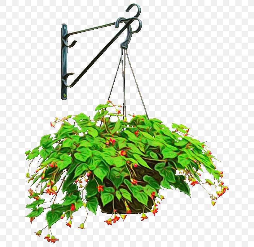 Flower Plant Leaf Pole Houseplant, PNG, 684x800px, Watercolor, Flower, Flowerpot, Houseplant, Leaf Download Free