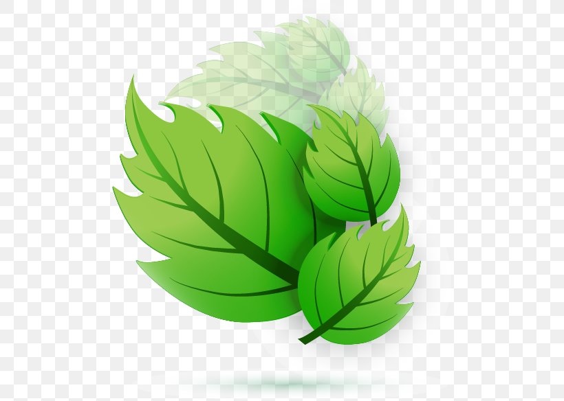 Leaf Euclidean Vector Adobe Illustrator, PNG, 493x584px, Leaf, Art, Artworks, Food, Fruit Download Free