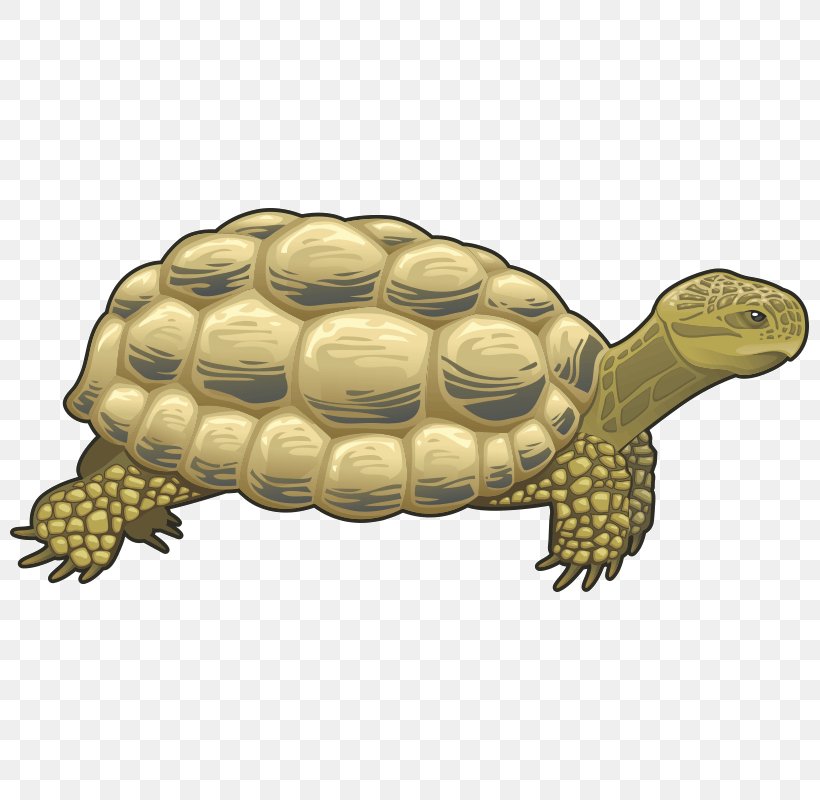 Turtle Reptile Giraffe Clip Art, PNG, 800x800px, Turtle, Animal, Box Turtle, Chelydridae, Common Snapping Turtle Download Free