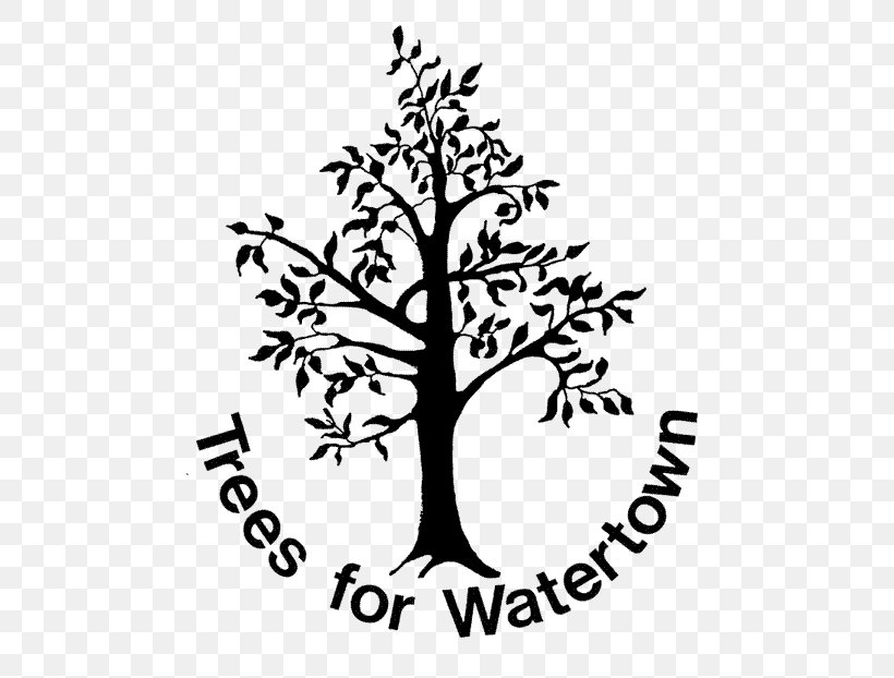 Watertown Metfern Cemetary Organization Somerville Tree, PNG, 480x622px, Watertown, Black And White, Branch, Charitable Organization, Forest Download Free