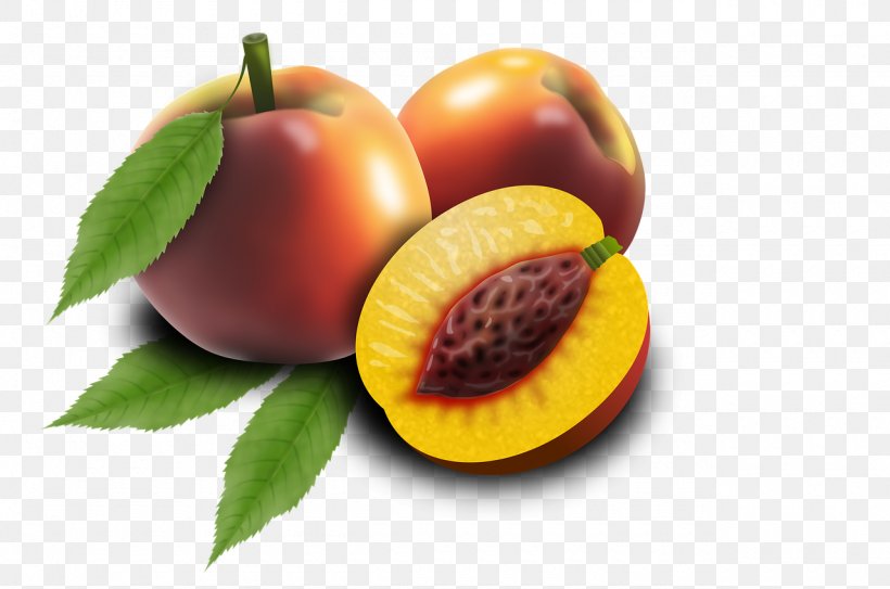 Clip Art Stock.xchng Image Stock Photography, PNG, 1280x849px, Stock Photography, Accessory Fruit, Apricot, Diet Food, Food Download Free