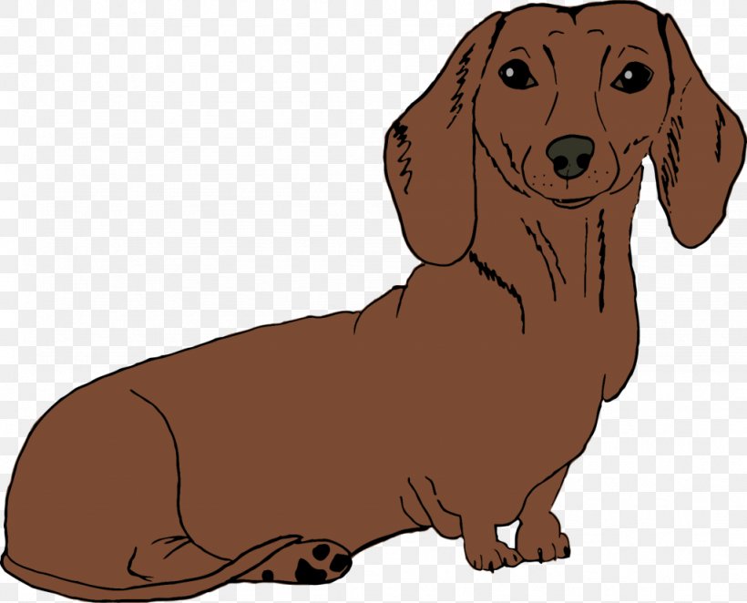 Dachshund Puppy Dog Breed Companion Dog Beagle, PNG, 1024x827px, Dachshund, Akita, Beagle, Canidae, Carnivoran Download Free