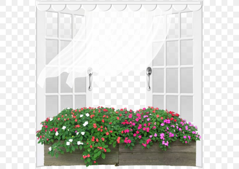 Grow Light Flower Ornamental Plant, PNG, 580x580px, Flower, Daylighting, Floral Design, Flower Arranging, Flower Garden Download Free