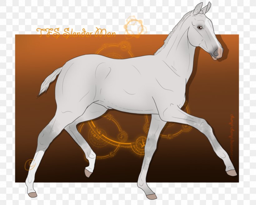 Stallion Mustang Foal Mare Colt, PNG, 900x720px, Stallion, Bridle, Colt, Foal, Halter Download Free