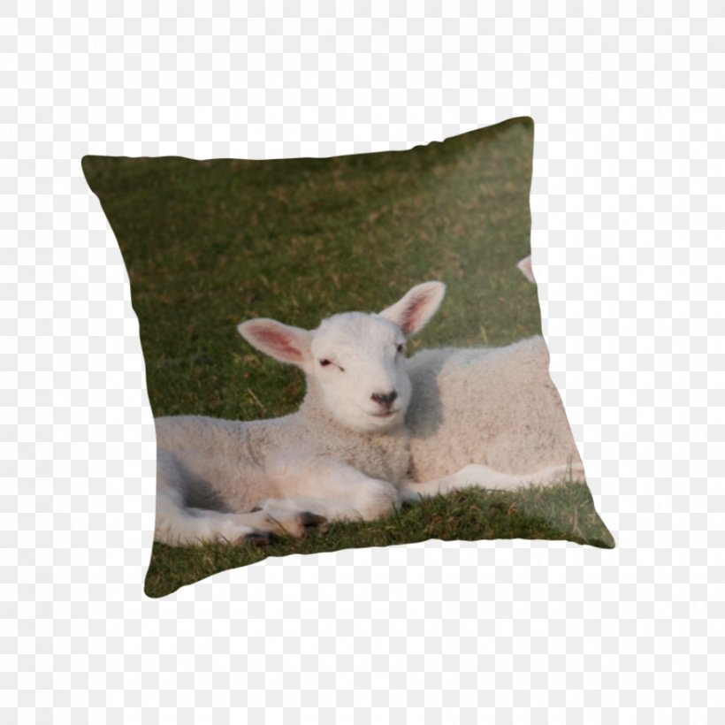 Throw Pillows Cushion Snout, PNG, 875x875px, Throw Pillows, Cushion, Pillow, Snout, Textile Download Free