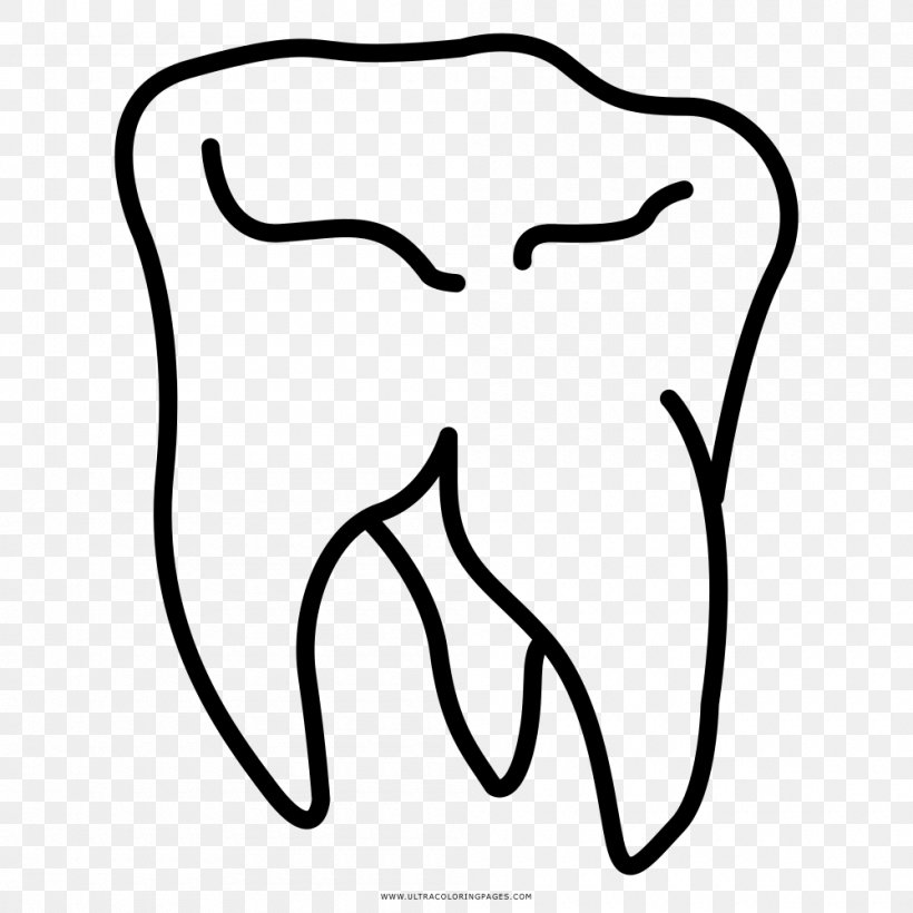 Wisdom Tooth Drawing Coloring Book, PNG, 1000x1000px, Watercolor, Cartoon, Flower, Frame, Heart Download Free