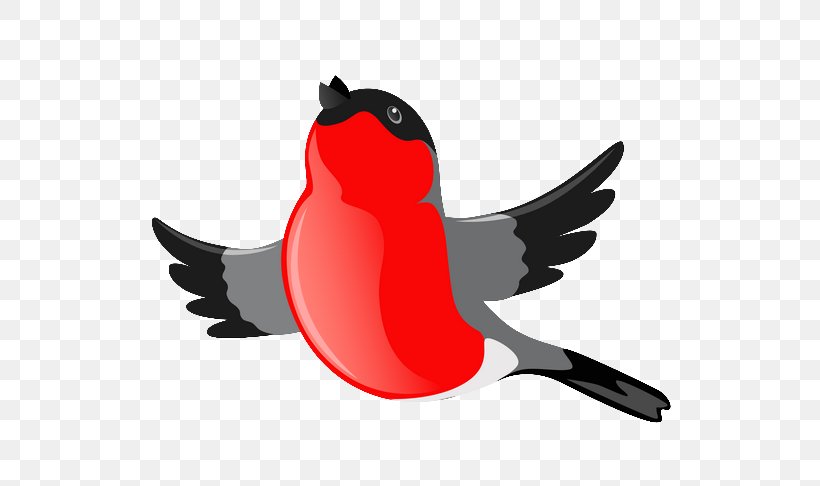 Bird Drawing Beak Clip Art, PNG, 555x486px, Bird, Aile, Beak, Cartoon, Christmas Download Free