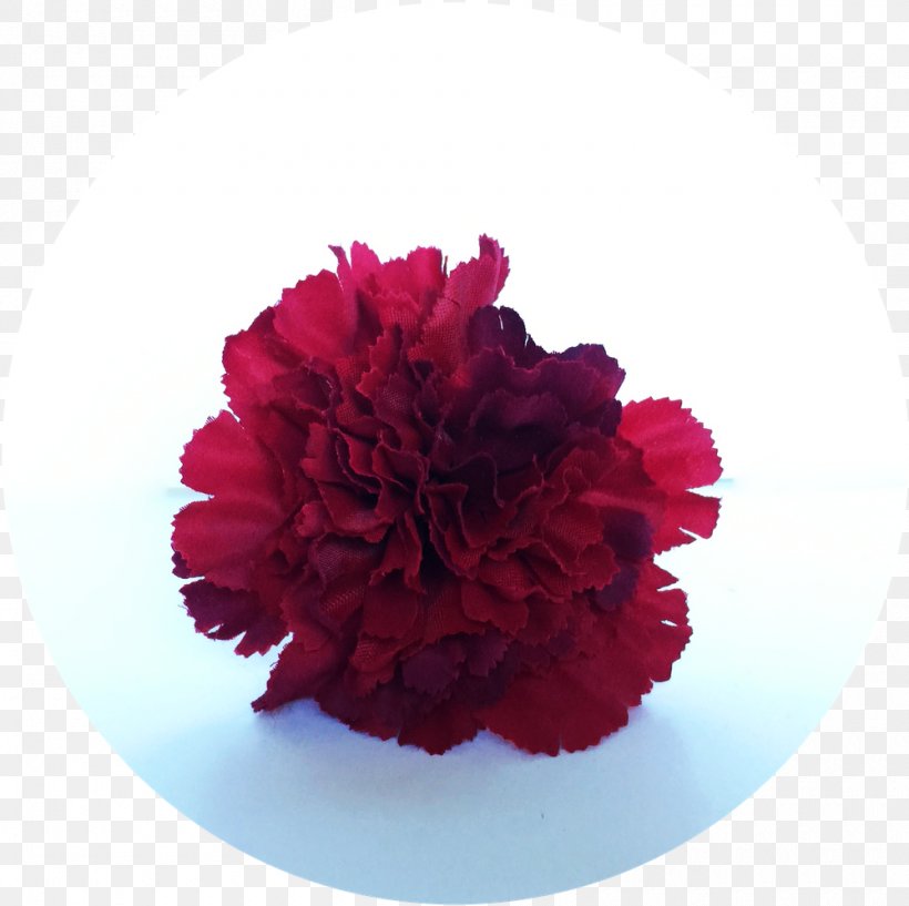 Carnation Cut Flowers Floral Design Flower Bouquet, PNG, 1000x997px, Carnation, Cut Flowers, Dianthus, Email, Facebook Download Free