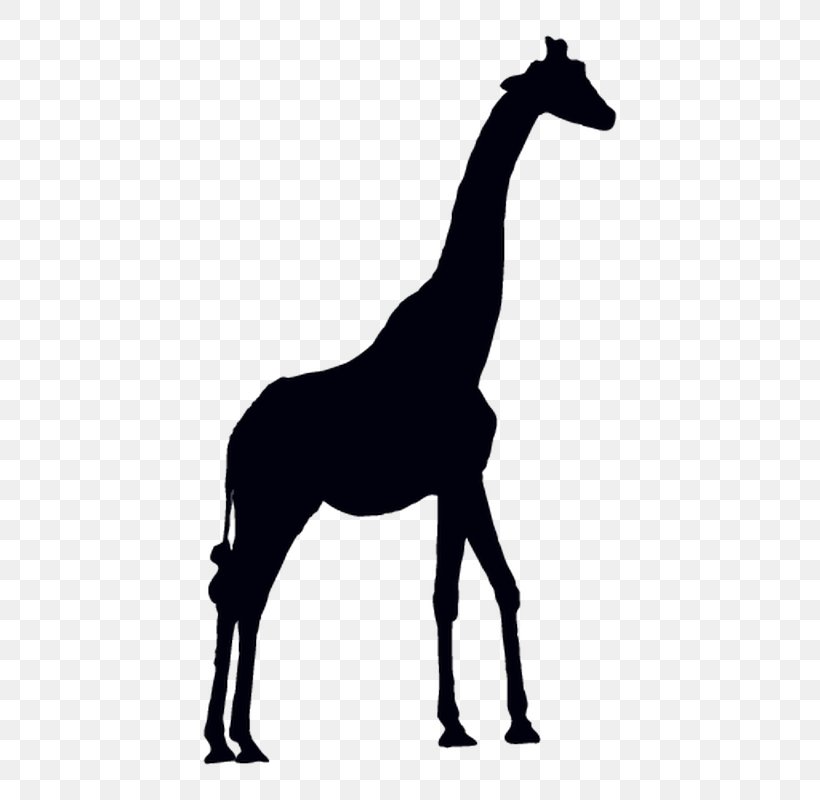 Giraffe Vector Graphics Clip Art Antelope Animal Silhouettes, PNG, 800x800px, Giraffe, Animal, Animal Silhouettes, Antelope, Black And White Download Free