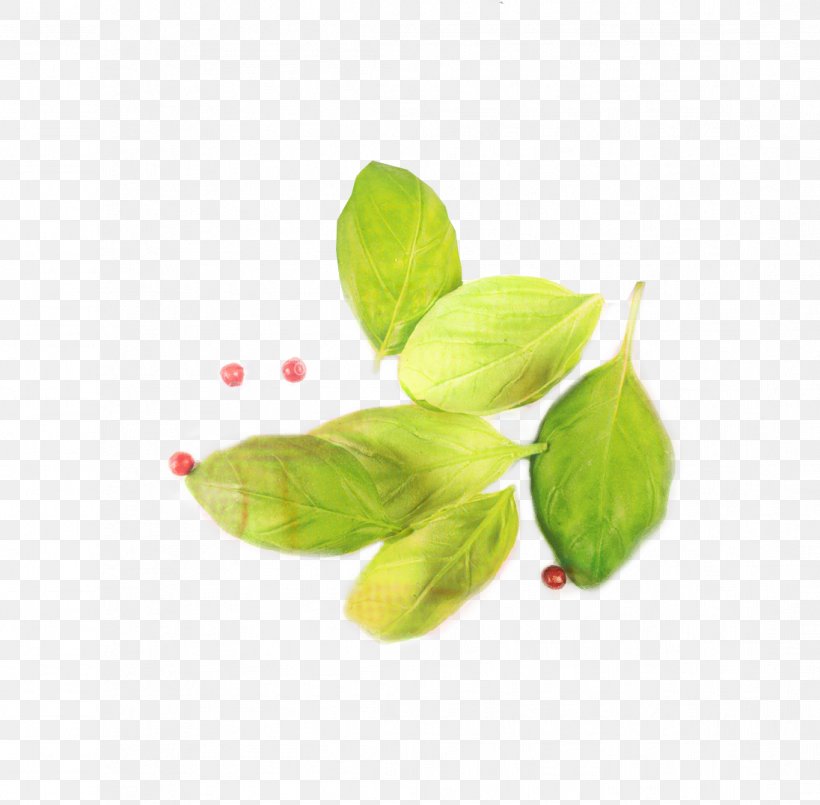 Green Leaf Background, PNG, 1096x1077px, Basil, Bud, Flower, Food, Green Download Free