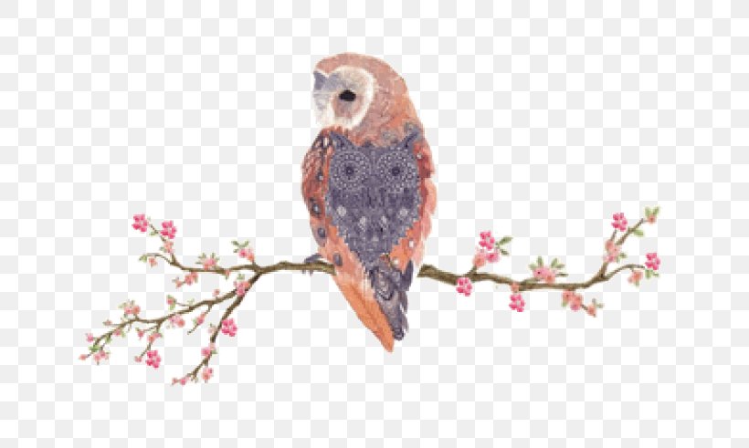 Owl IPhone 6S Bird, PNG, 800x491px, Owl, Art, Asianfanfics, Beak, Bird Download Free