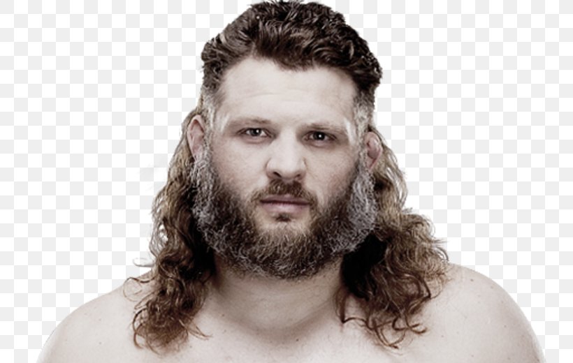 Roy Nelson Ultimate Fighting Championship The Ultimate Fighter Mixed Martial Arts Bellator MMA, PNG, 800x520px, Roy Nelson, Athlete, Beard, Bellator Mma, Boxing Download Free