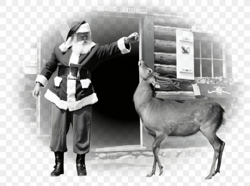 Santa Claus Christmas Reindeer House, PNG, 1023x764px, Santa Claus, Antique, Black And White, Christmas, Christmas Eve Download Free