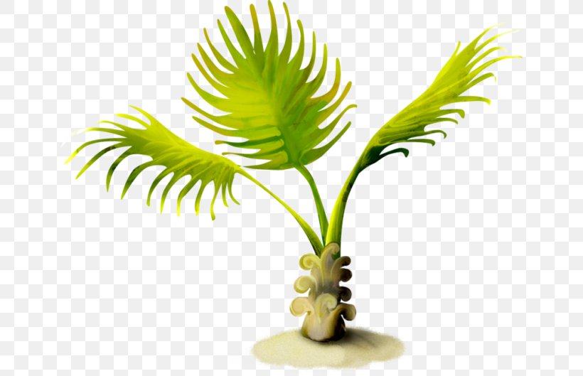 Arecaceae Summer Clip Art, PNG, 650x529px, Arecaceae, Aquarium Decor, Arecales, Flowerpot, Graphic Designer Download Free