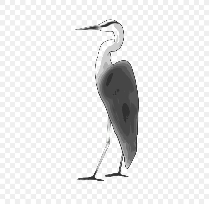 Heron Crane Drawing Bird Vector Graphics, PNG, 369x800px, Heron, Beak, Bird, Black And White, Ciconiiformes Download Free