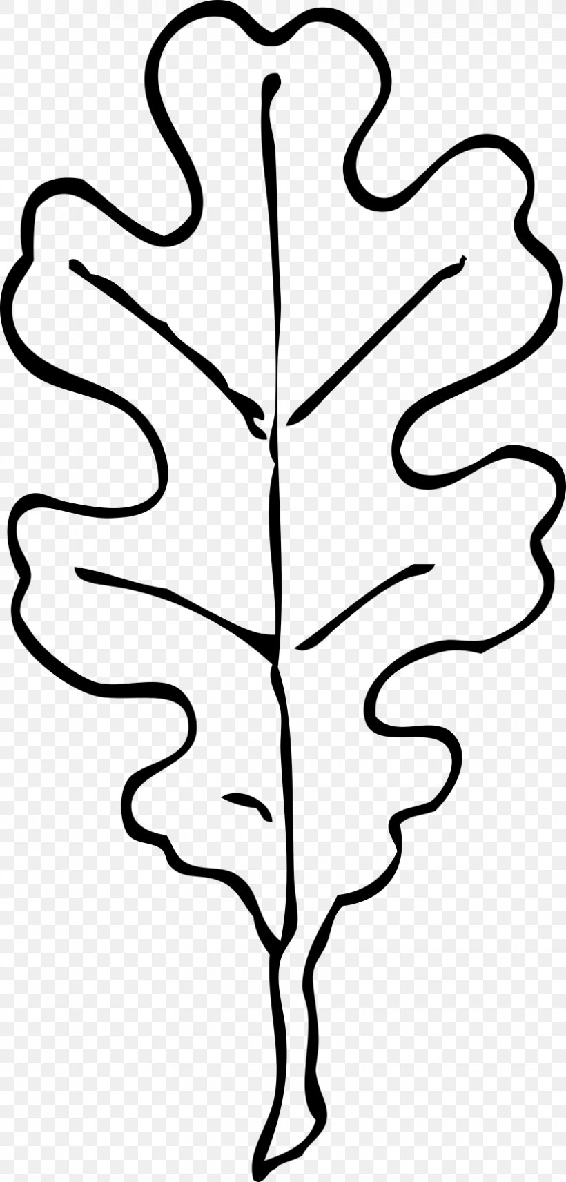 Leaf White Oak Drawing Clip Art, PNG, 830x1733px, Leaf, Artwork, Black And White, Branch, Coloring Book Download Free