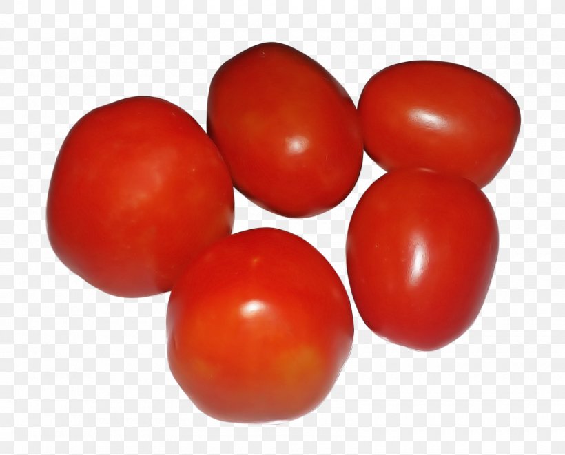 Tomato, PNG, 1600x1290px, Solanum, Cherry Tomatoes, Food, Fruit, Nightshade Family Download Free