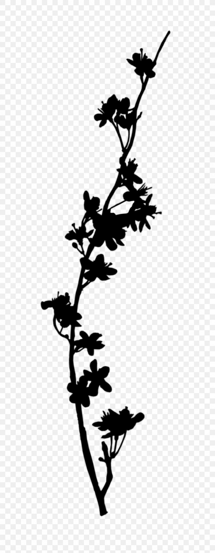 Twig Plant Stem Flower Leaf Line, PNG, 1116x2872px, Twig, Blackandwhite, Botany, Branch, Flower Download Free