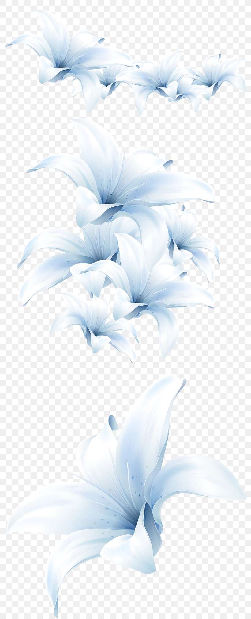 Flower Bouquet Lilium Candidum Lotion, PNG, 792x2018px, Flower, Blue, Color, Cut Flowers, Floral Design Download Free