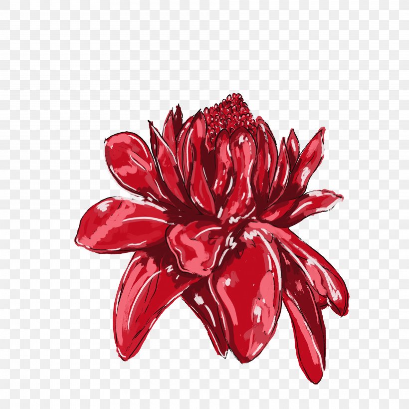 Flower Drawing Clip Art Jamaica Design, PNG, 3840x3840px, Flower, Artist, Blackandwhite, Cut Flowers, Dahlia Download Free