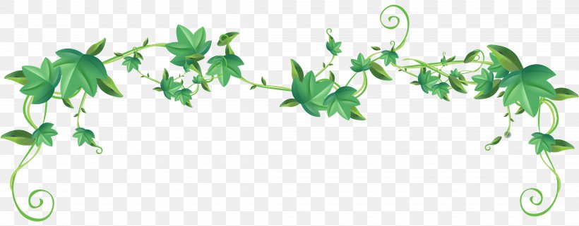 Ivy Clip Art, PNG, 4342x1700px, Ivy, Branch, Centimeter, Division, Flora Download Free