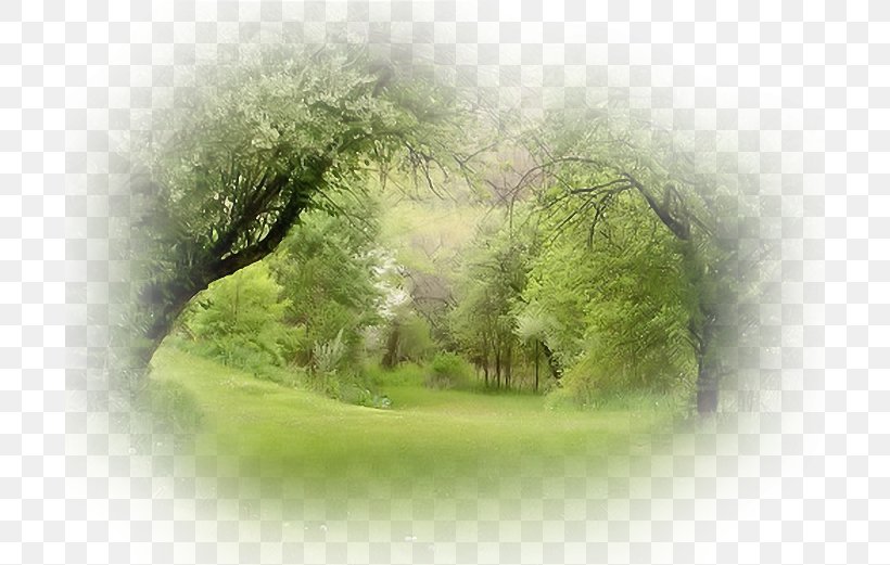 Landscape Painting, PNG, 700x521px, Landscape, Computer Monitors, Grass, Green, Landscape Painting Download Free