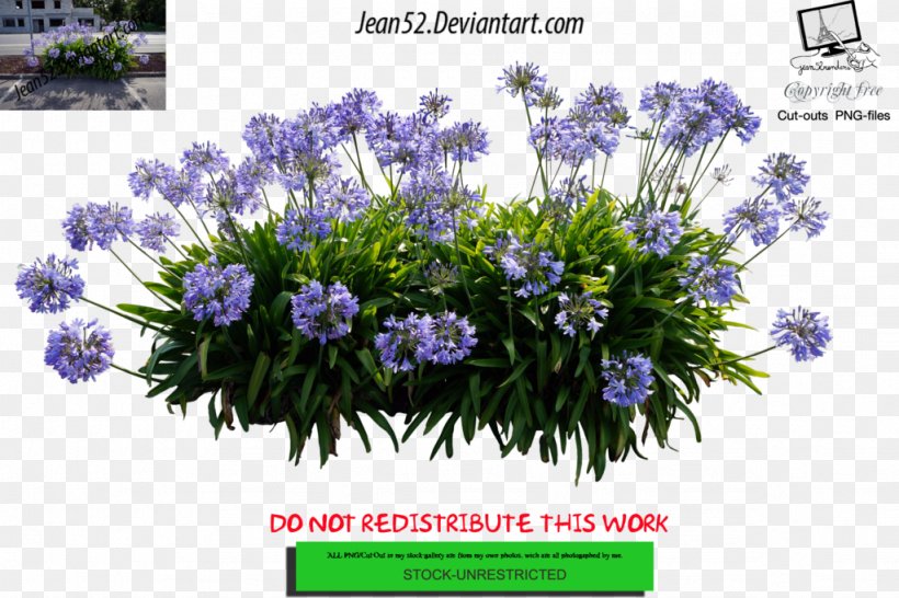 Floral Design DeviantArt Artist, PNG, 1024x682px, Floral Design, Art, Artificial Flower, Artist, Bellflower Family Download Free
