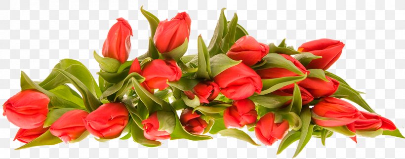 Flower Bouquet Cut Flowers Clip Art, PNG, 1200x472px, Flower Bouquet, Artificial Flower, Bell Peppers And Chili Peppers, Bird S Eye Chili, Bud Download Free
