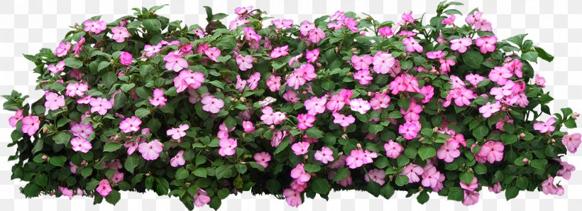 Grow Light Tree Shrub Flower Garden, PNG, 1200x435px, Grow Light, Annual Plant, Cut Flowers, Drawing, Floral Design Download Free