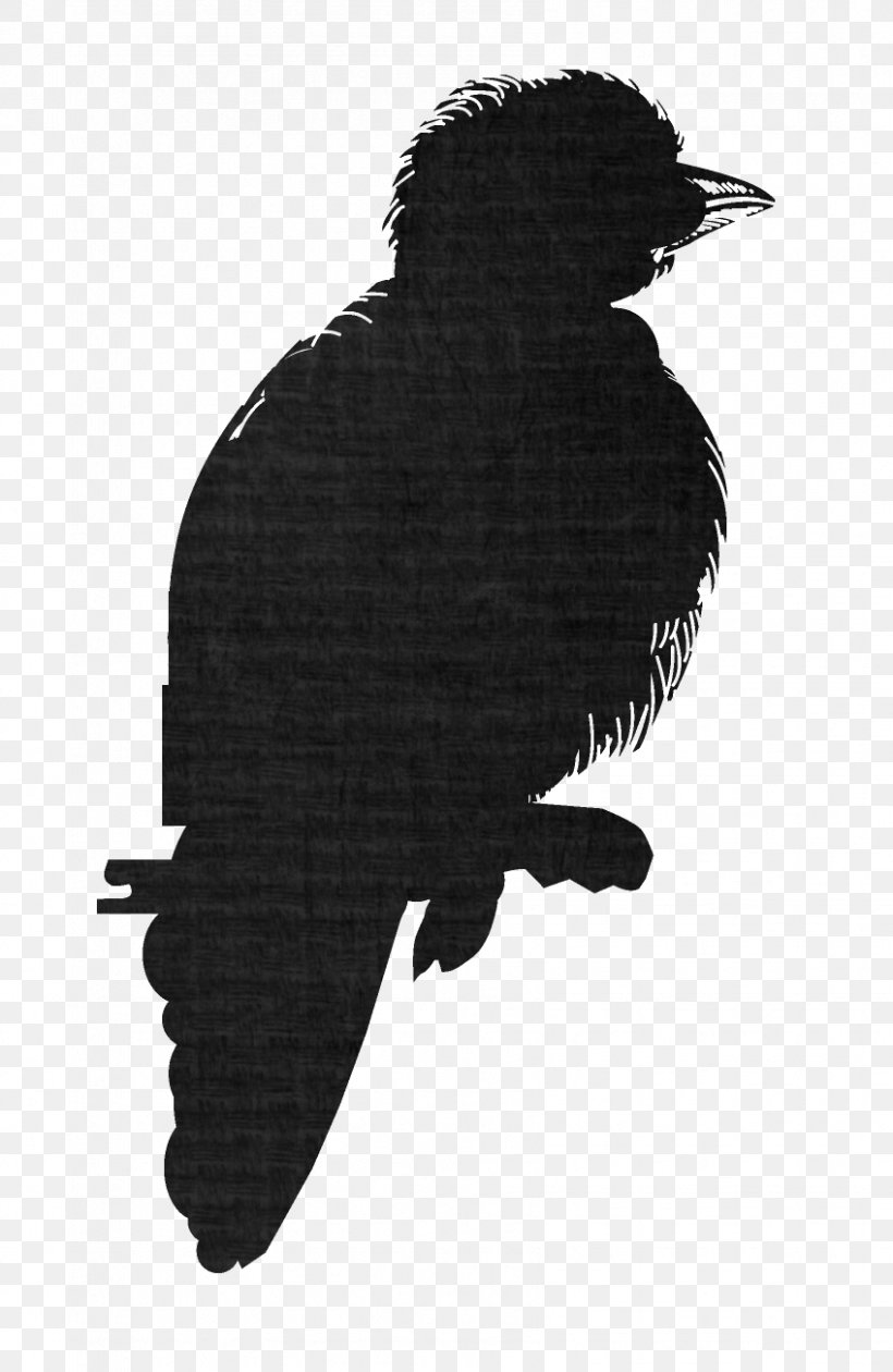 Eagle Fauna Silhouette Crow Beak, PNG, 848x1304px, Eagle, Beak, Bird, Bird Of Prey, Black And White Download Free