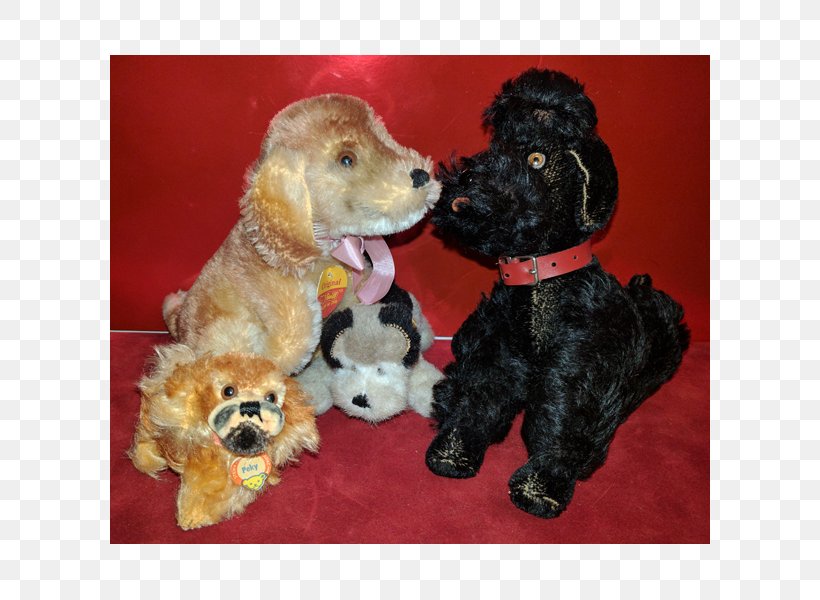Miniature Poodle Standard Poodle Schnoodle Cockapoo Goldendoodle, PNG, 600x600px, Miniature Poodle, Breed, Carnivoran, Cockapoo, Companion Dog Download Free