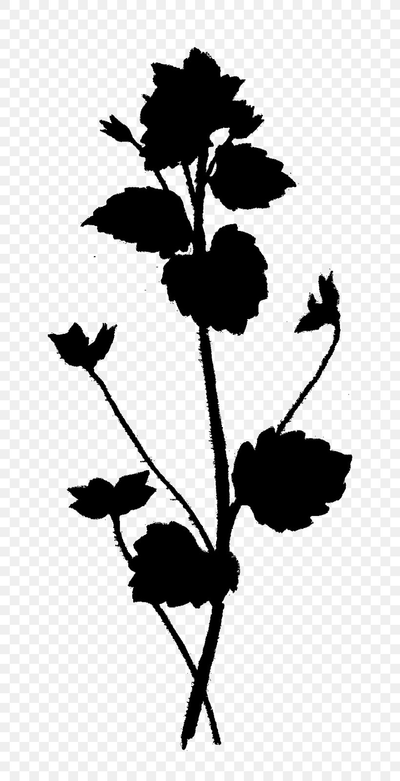 Twig Plant Stem Flower Leaf Clip Art, PNG, 799x1600px, Twig, Blackandwhite, Botany, Flower, Flowering Plant Download Free